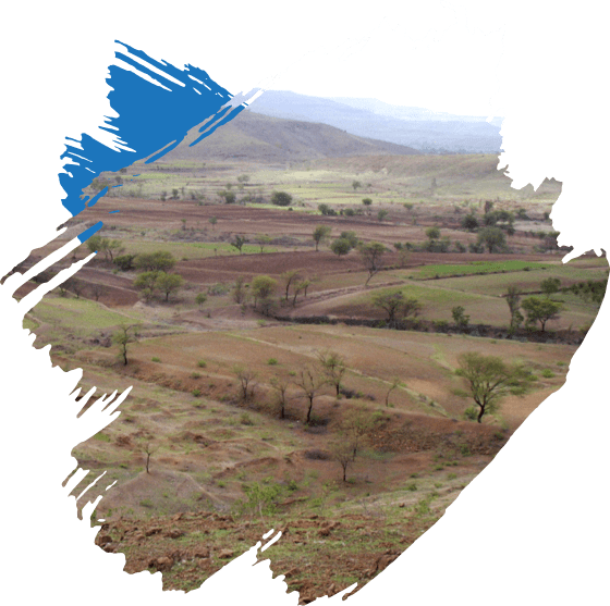 Rural India