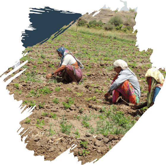 Rural India