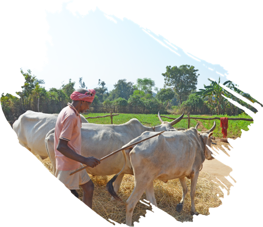 Maharashtra