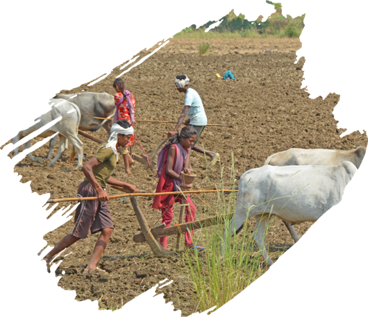 Maharashtra